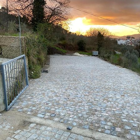 Casa Da Zefinha, Em Cinfaes, No Douro Lejlighed Eksteriør billede