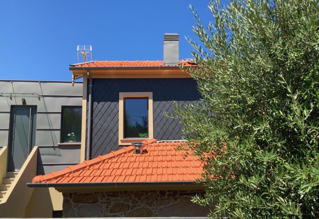 Casa Da Zefinha, Em Cinfaes, No Douro Lejlighed Eksteriør billede